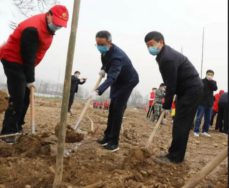 乔新江尚朝阳等参加全市春季义务植树活动