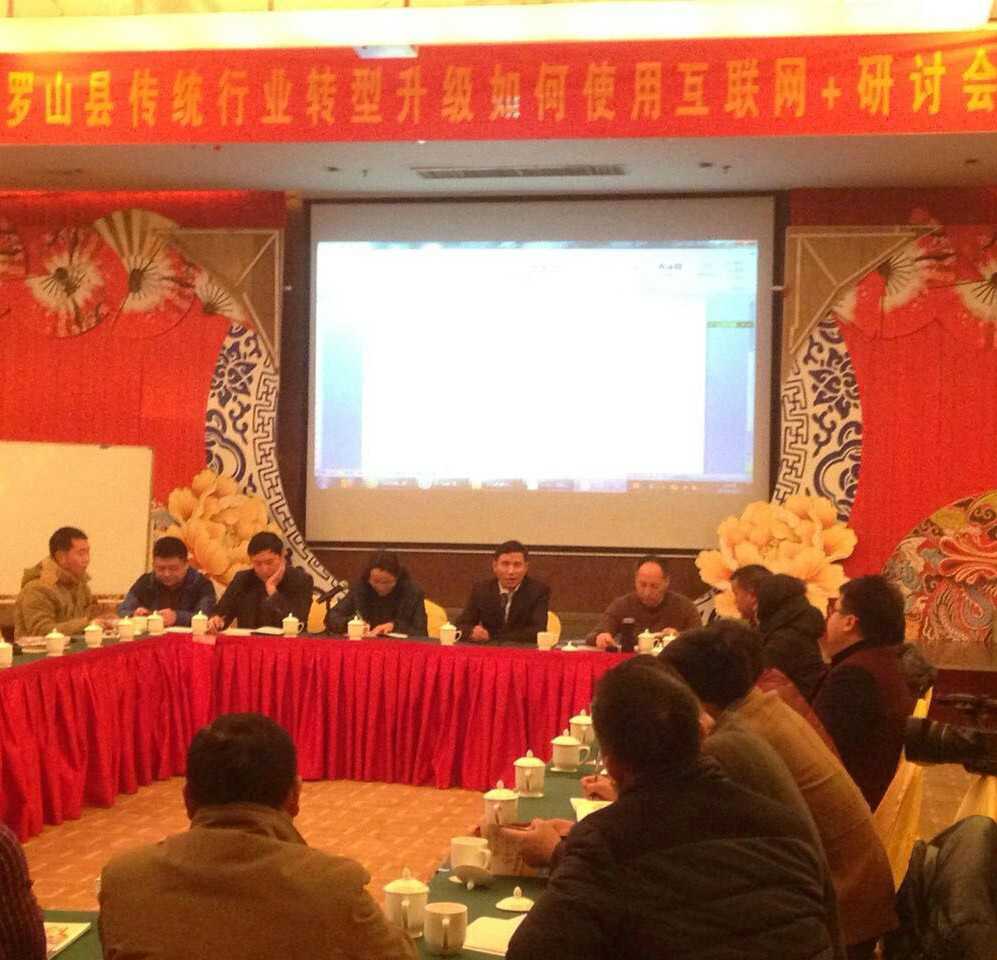 罗山县召开“互联网+传统产业”研讨会