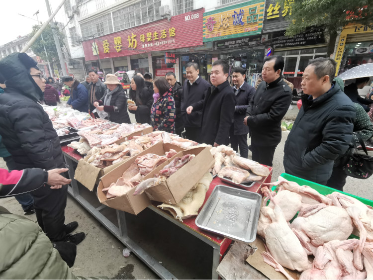 郭珂同志到罗山县调研猪肉市场供应工作
